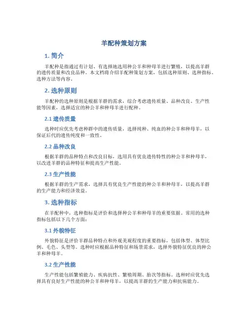 羊配种策划方案