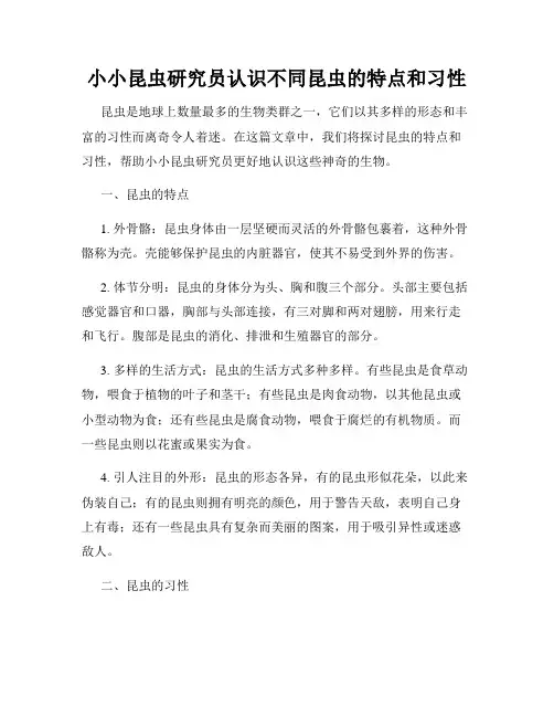 小小昆虫研究员认识不同昆虫的特点和习性