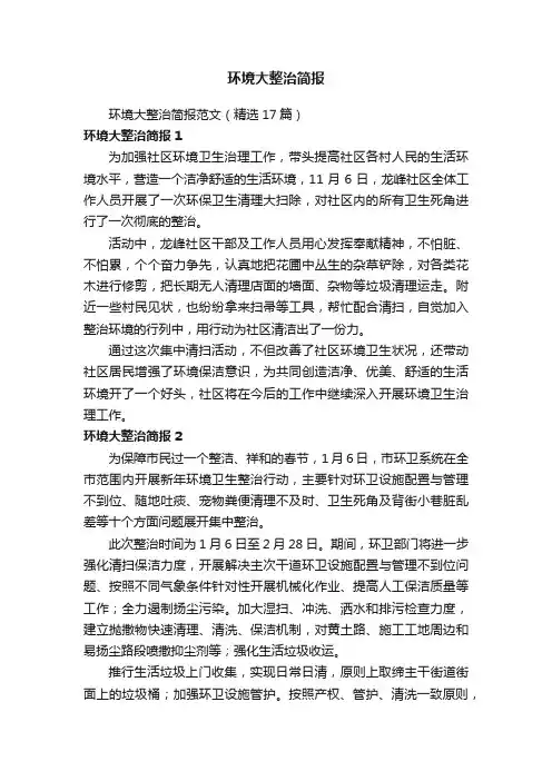环境大整治简报