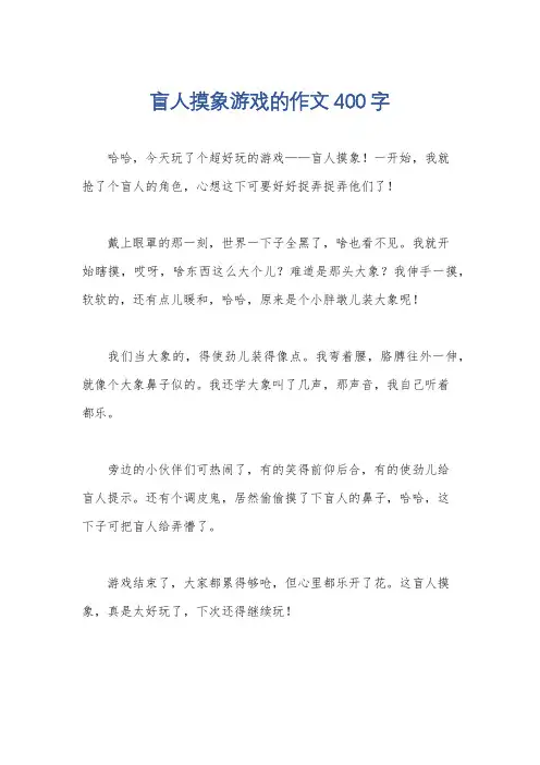 盲人摸象游戏的作文400字