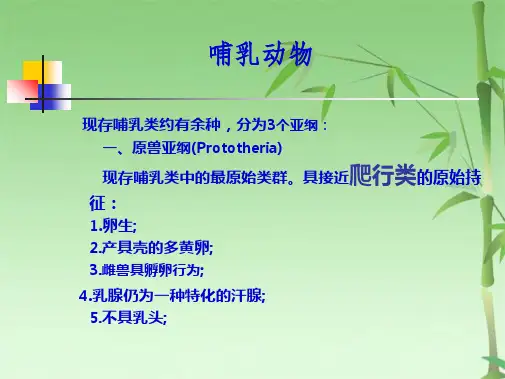 哺乳动物分类(共32张PPT)