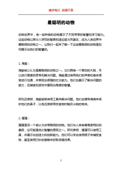 最聪明的动物