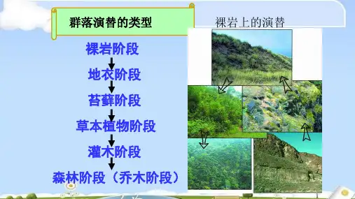 北师大高中生物必修3 一 生态系统的结构 (3)(共16张PPT)