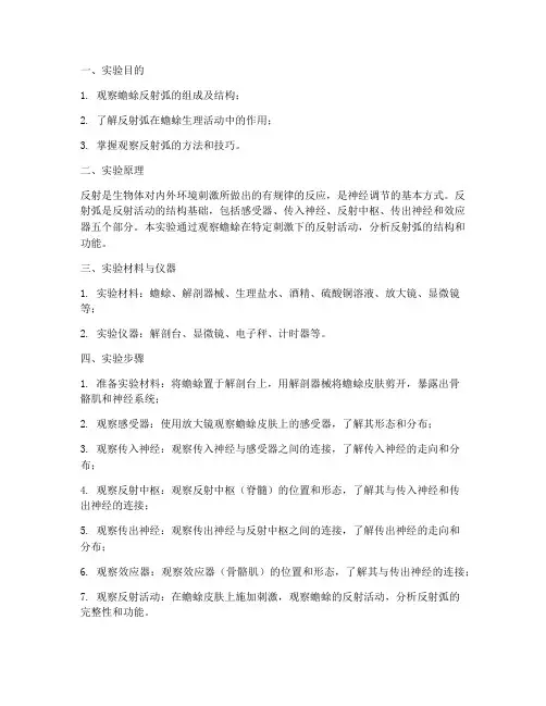 蟾蜍反射弧观察实验报告