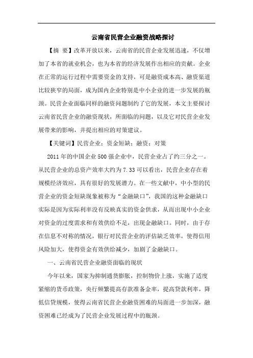 云南省民营企业融资战略论文
