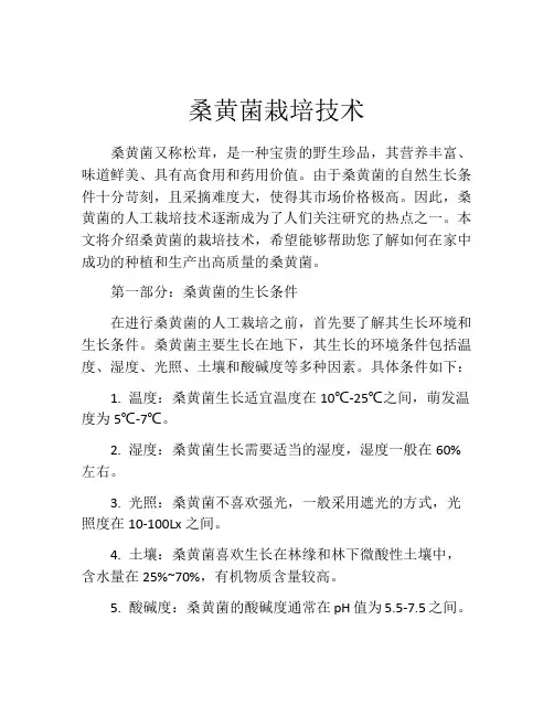桑黄菌栽培技术