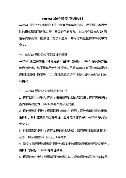 mrna原位杂交序列设计