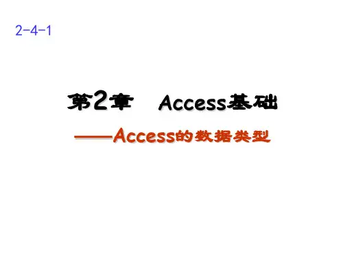 Access 2010--第2章 Access基础第2-4-1讲  Access的数据类型