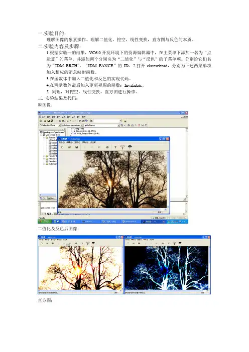 bmp位图的二值化与反色
