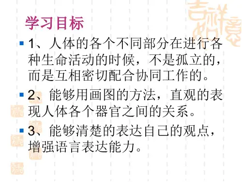 7相互协作的人体器官