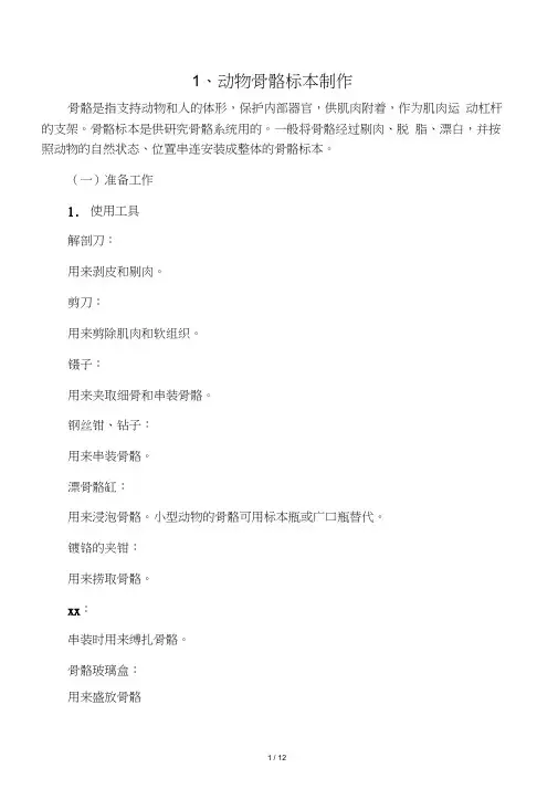 动物骨骼标本制作