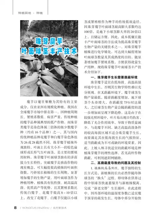 珠芽魔芋叶面球茎丰产技术
