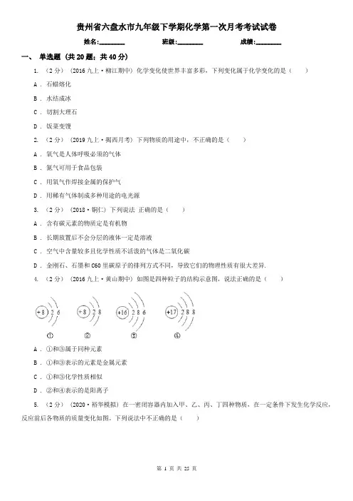贵州省六盘水市九年级下学期化学第一次月考考试试卷