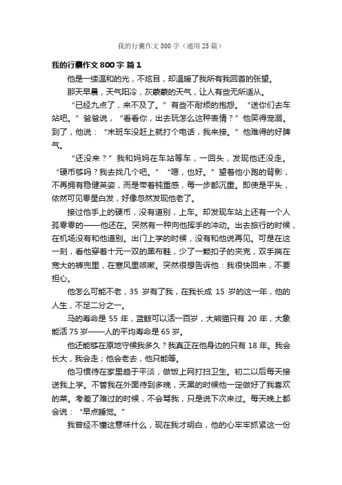 我的行囊作文800字（通用25篇）