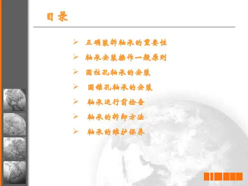 CHK滚动轴承的安装拆卸和维护保养ppt课件