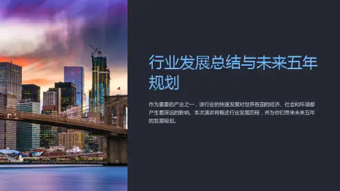 “行业发展总结与未来五年规划”