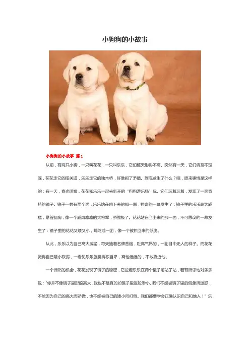 小狗狗的小故事