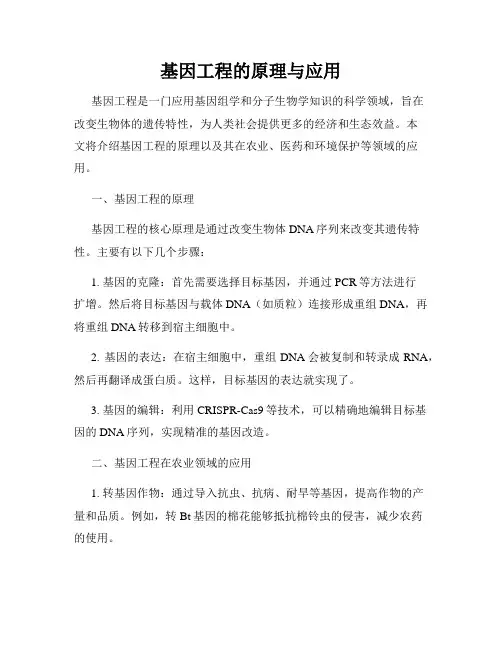基因工程的原理与应用