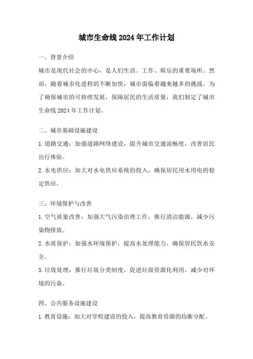 城市生命线2024年工作计划