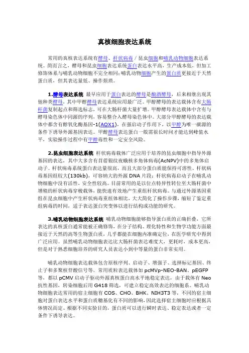 真核细胞表达系统