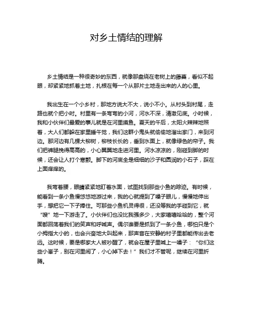 对乡土情结的理解