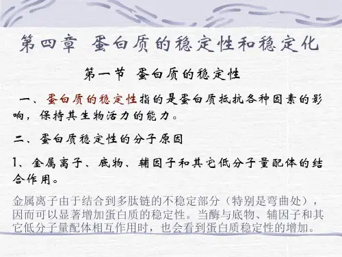 蛋白质的稳定性
