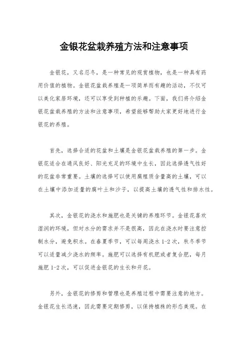 金银花盆栽养殖方法和注意事项
