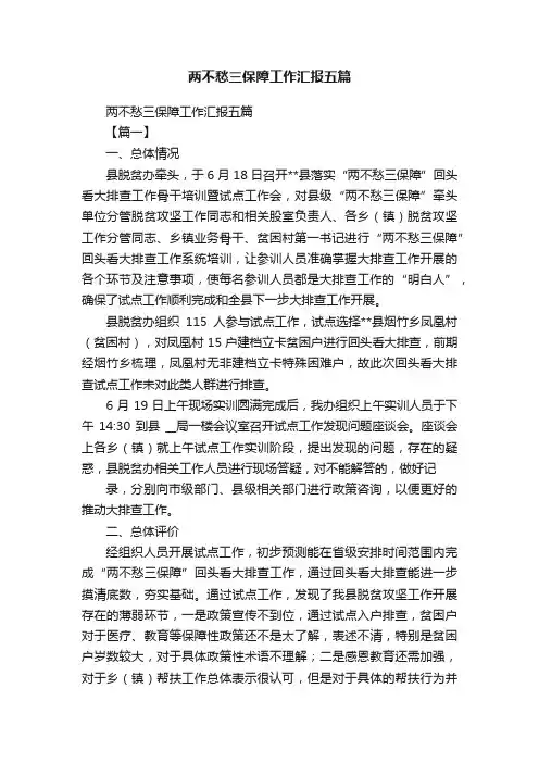 两不愁三保障工作汇报五篇