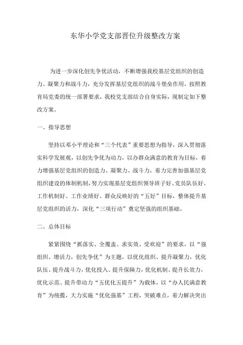 东华小学党支部晋位升级整改方案