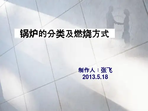 锅炉的分类及燃烧方式2013.5.18讲解