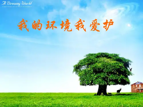 5我的环境我爱护(共29张PPT)
