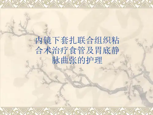 食管胃底静脉曲张的镜下治疗与护理 (3)