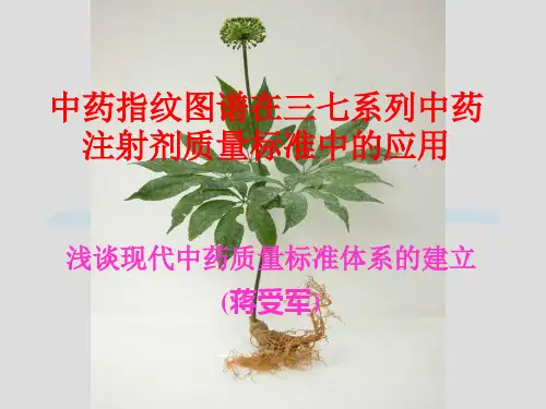 指纹图谱(PPT)