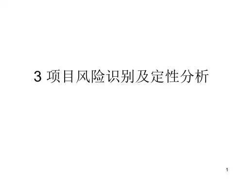 项目风险识别及定性分析教材(PPT 95页)