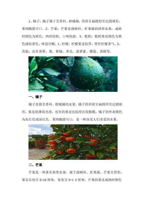 黄皮水果种类大全