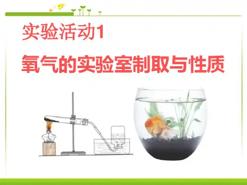 人教版九年级化学上册-《氧气的实验室制取与性质》PPT课件
