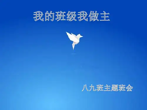 我的班级我做主。PPT