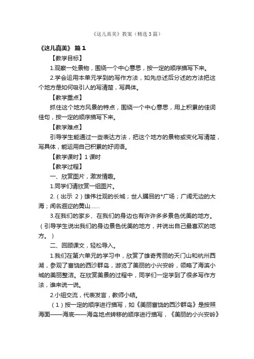 《这儿真美》教案（精选3篇）
