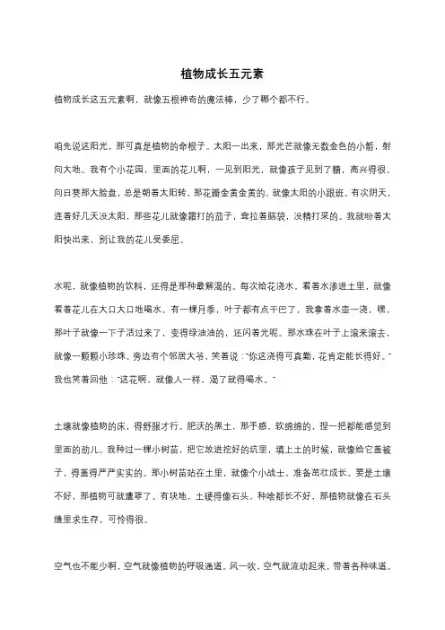 植物成长五元素