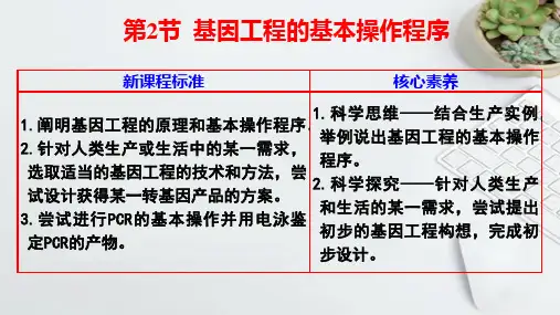 3-2 基因工程的基本操作程序(教学课件)——高中生物人教版(2019)选择性必修3