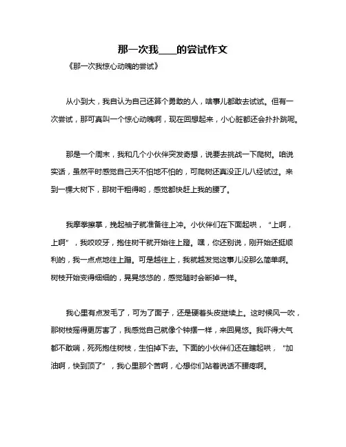 那一次我____的尝试作文