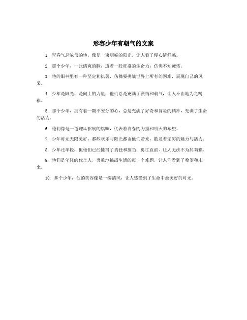 形容少年有朝气的文案