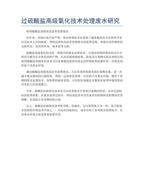过硫酸盐高级氧化技术处理废水研究