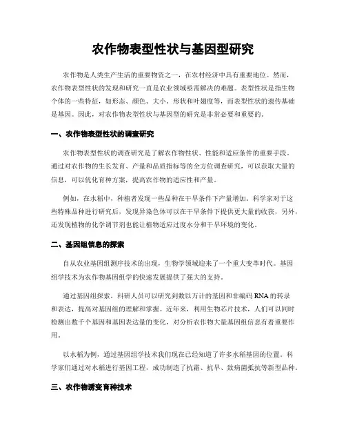 农作物表型性状与基因型研究