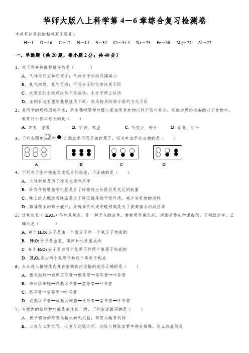 第4-6章综合复习检测卷——华东师大版八年级上册科学