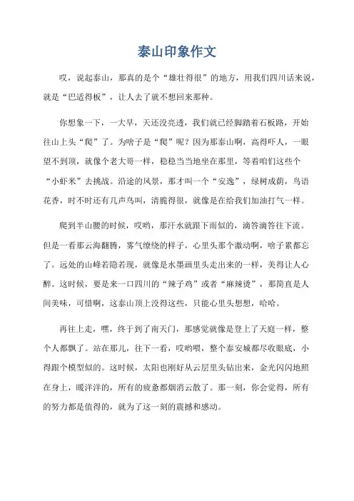 泰山印象作文