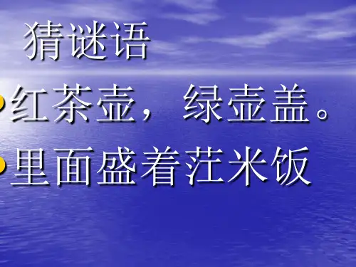 青岛版五年级下册11.种辣椒