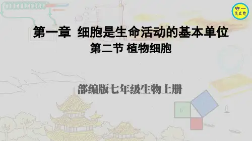 部编七年级生物上册-植物细胞(附习题)