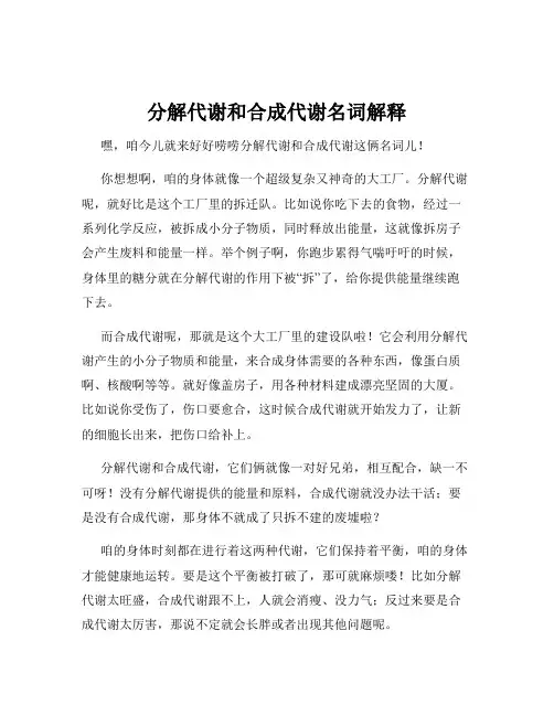分解代谢和合成代谢名词解释