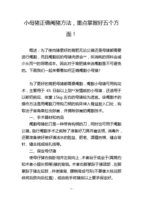 小母猪正确阉猪方法,重点掌握好五个方面!